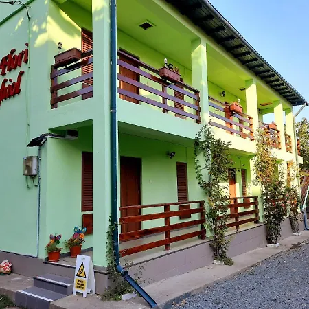 Casa Cu Flori بيت ضيافة *