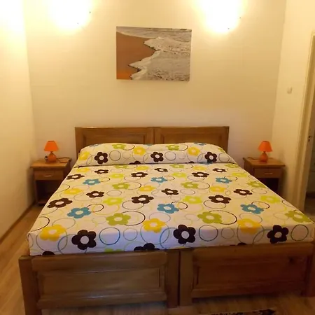 Casa Cu Flori بيت ضيافة *