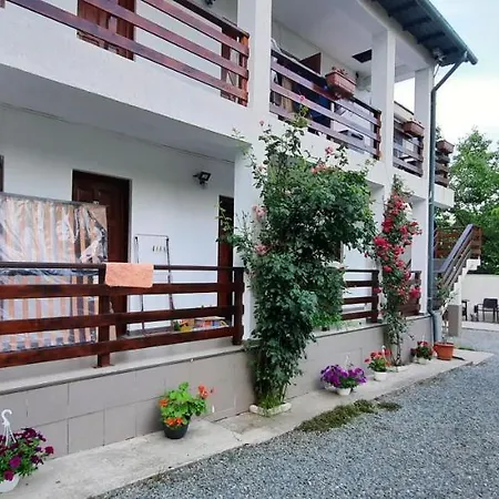 بيت ضيافة Casa Cu Flori *