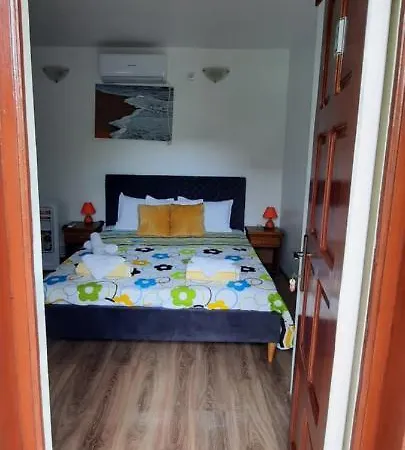 Casa Cu Flori Gasthof