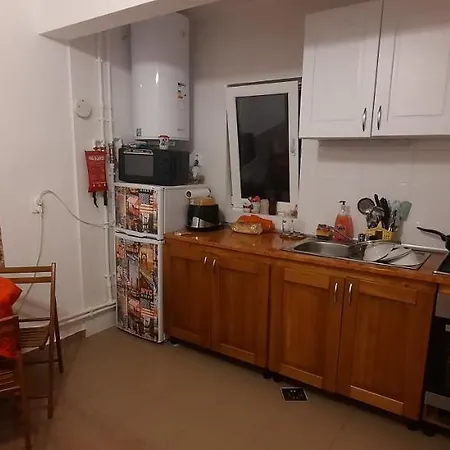 Gasthof Casa Cu Flori *
