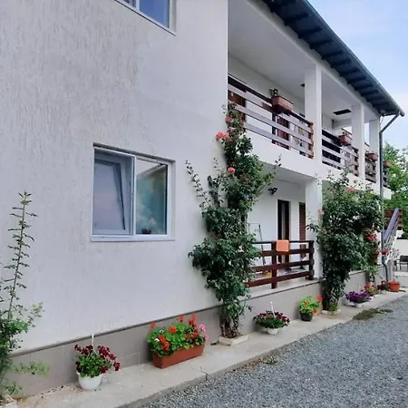 Casa Cu Flori * Techirghiol