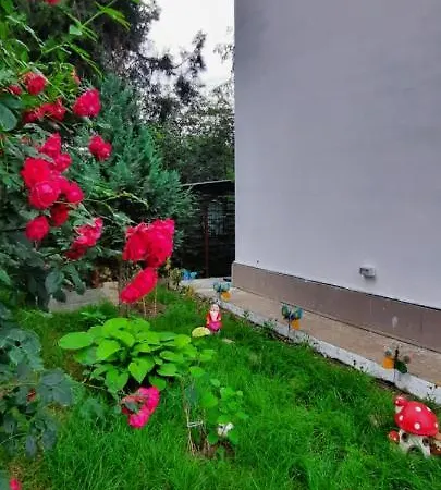 Gasthof Casa Cu Flori Techirghiol