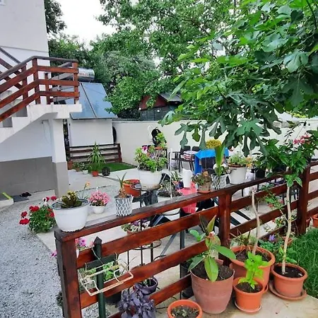 Gasthof Casa Cu Flori *